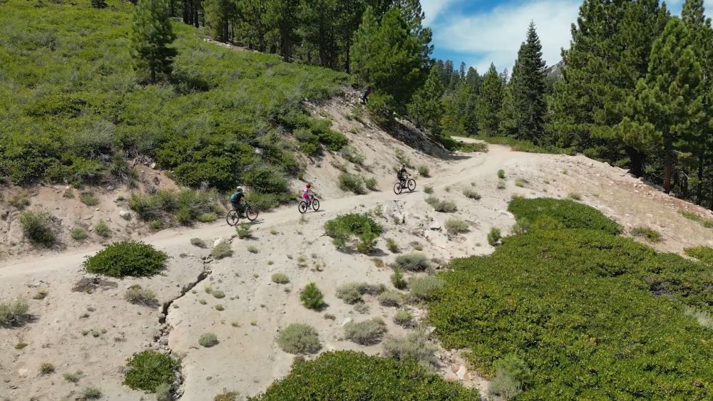 Cyclists riding mountain bikes on a dirt trail surrounded by pine trees near Reno